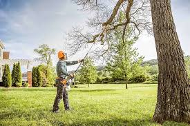 West Burlington, IA  Tree Services Company